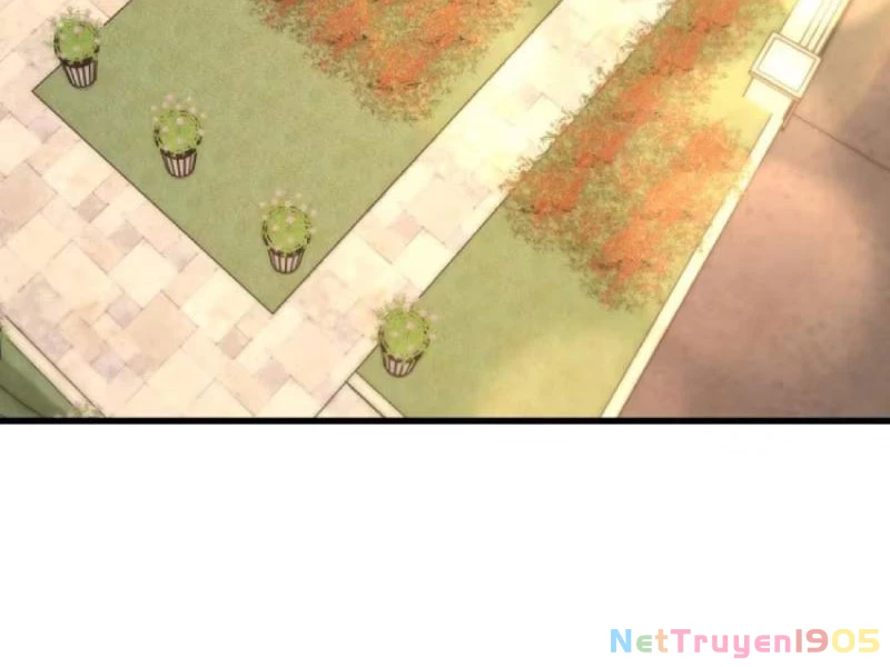 Trọng Sinh Không Làm Chạn Vương, Tôi Một Mình Nạp Game Thăng Cấp Chapter 259 - 7