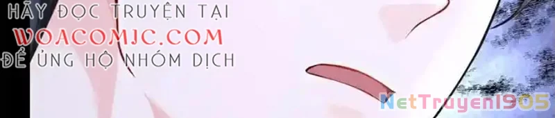 Hệ Thống Xuyên Nhanh: Ác Nam Không Dễ Chọc Chapter 205 - 24