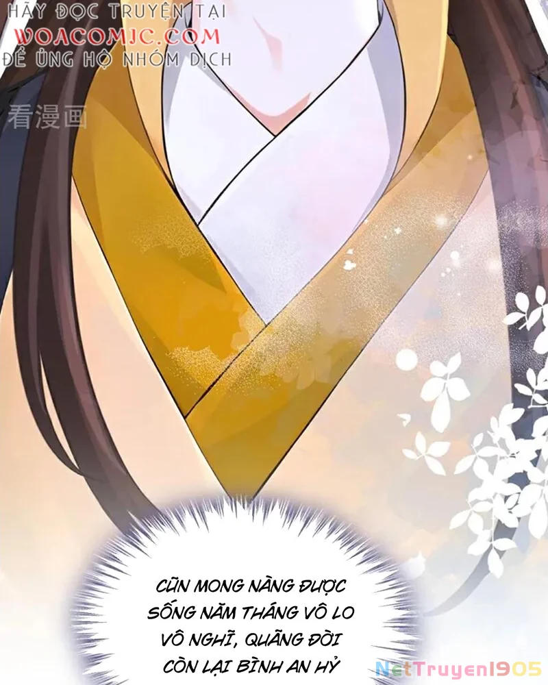 Hệ Thống Xuyên Nhanh: Ác Nam Không Dễ Chọc Chapter 206 - 23