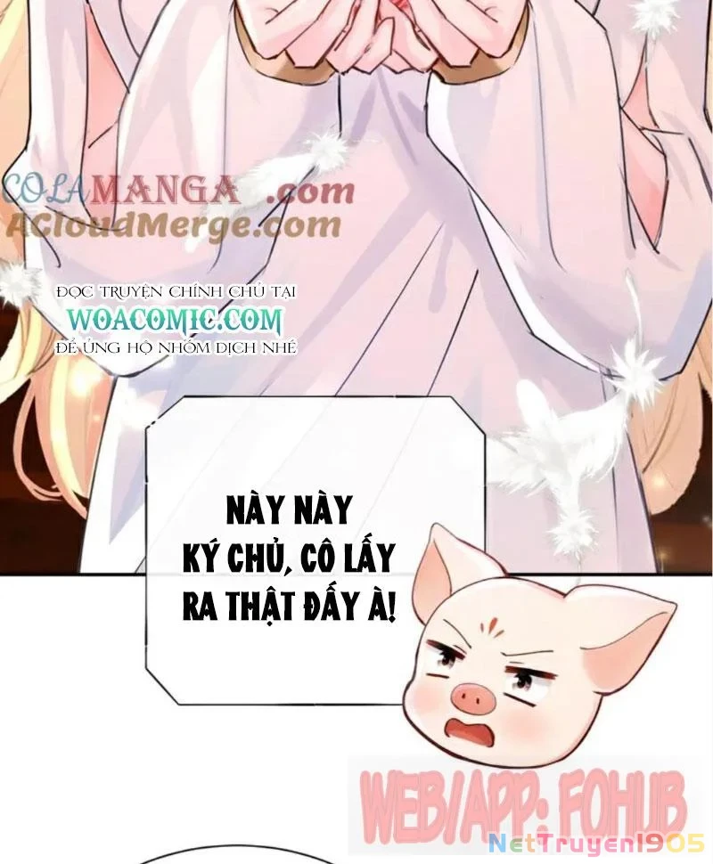 Hệ Thống Xuyên Nhanh: Ác Nam Không Dễ Chọc Chapter 210 - 34