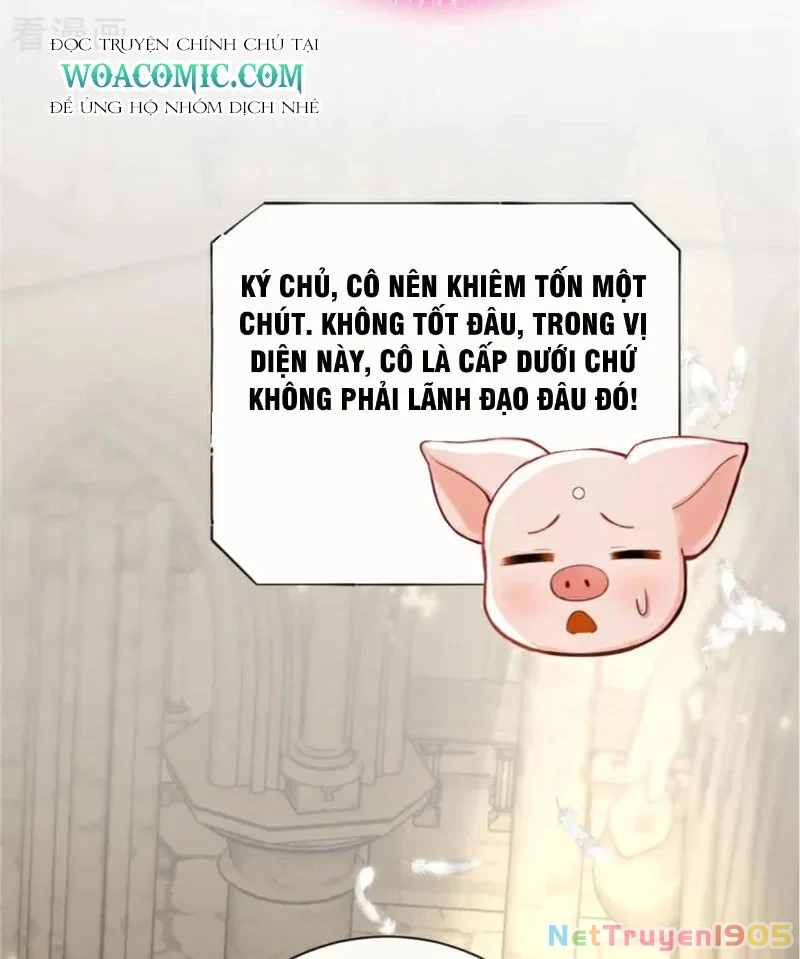 Hệ Thống Xuyên Nhanh: Ác Nam Không Dễ Chọc Chapter 210 - 51