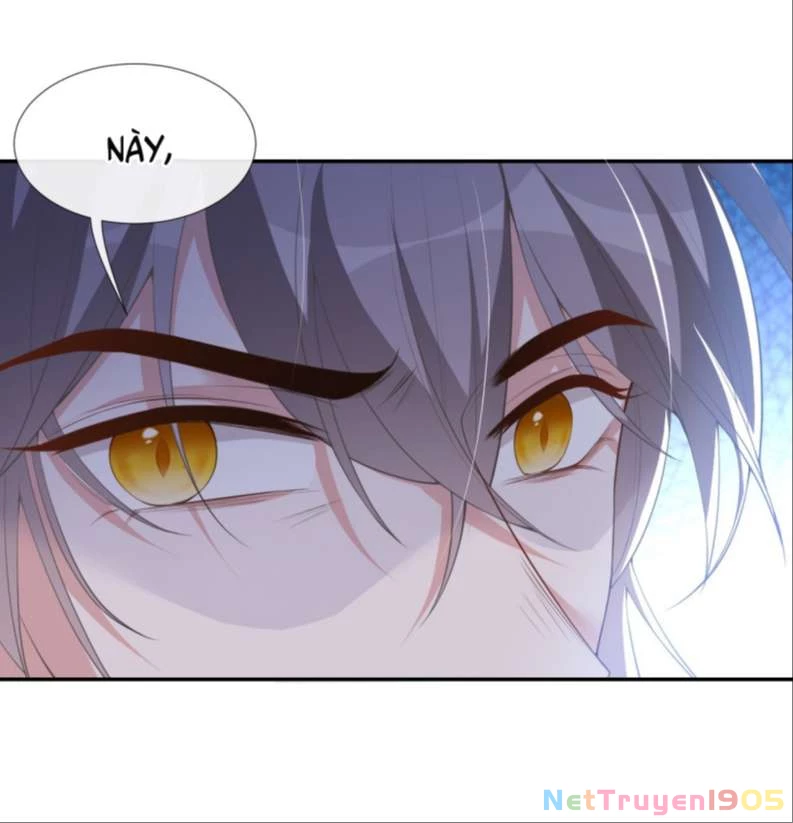 Quan Hệ Thế Thân Chapter 71 - 5