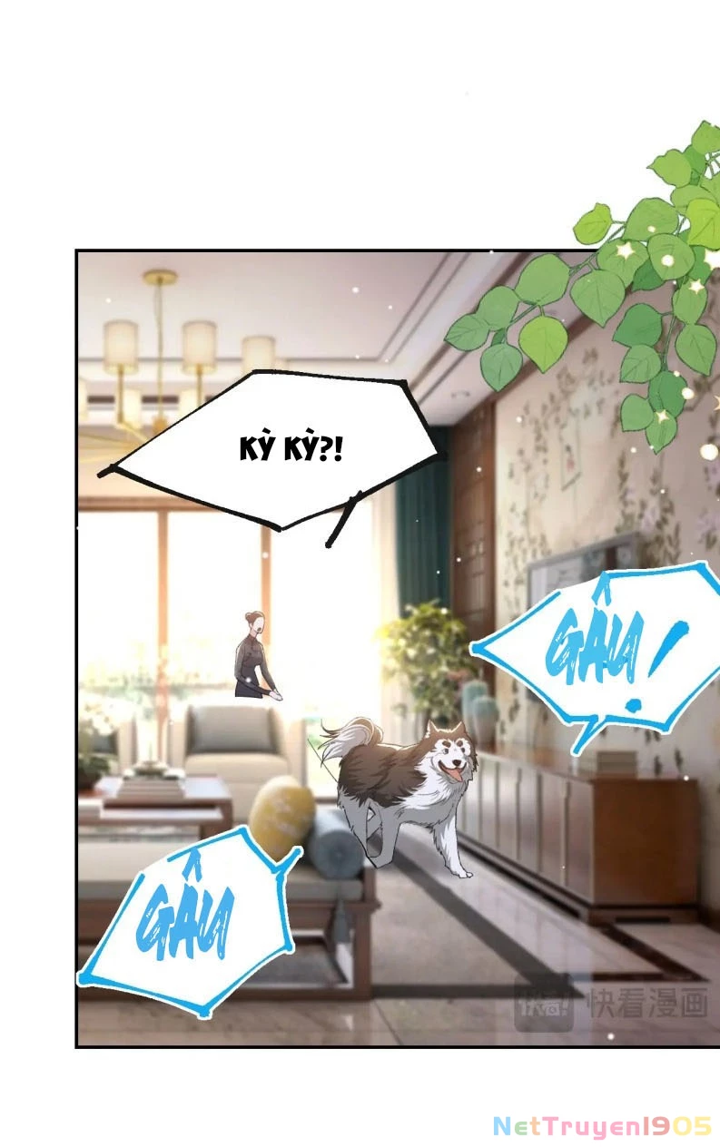 Quan Hệ Thế Thân Chapter 145 - 25