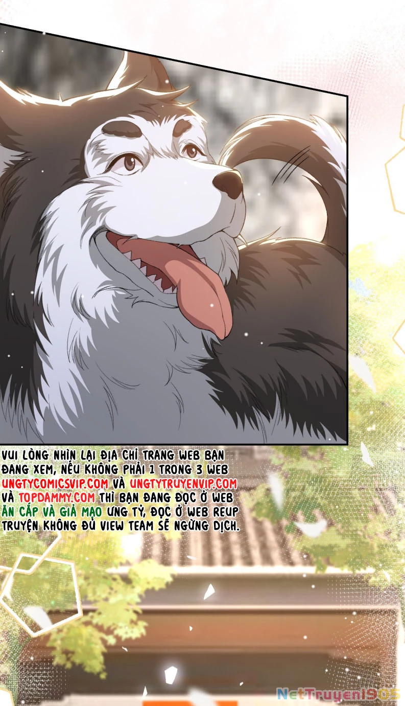 Quan Hệ Thế Thân Chapter 146 - 11