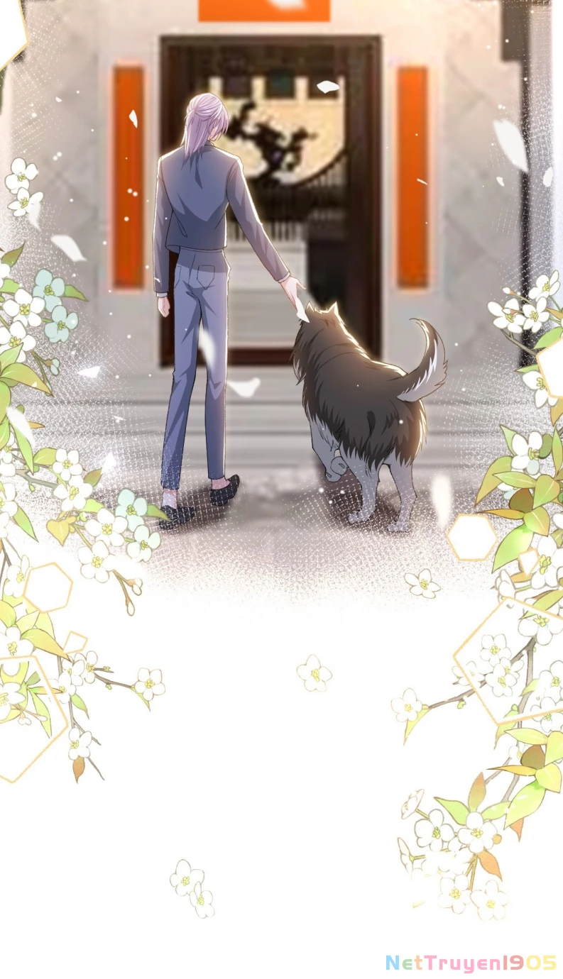 Quan Hệ Thế Thân Chapter 146 - 12