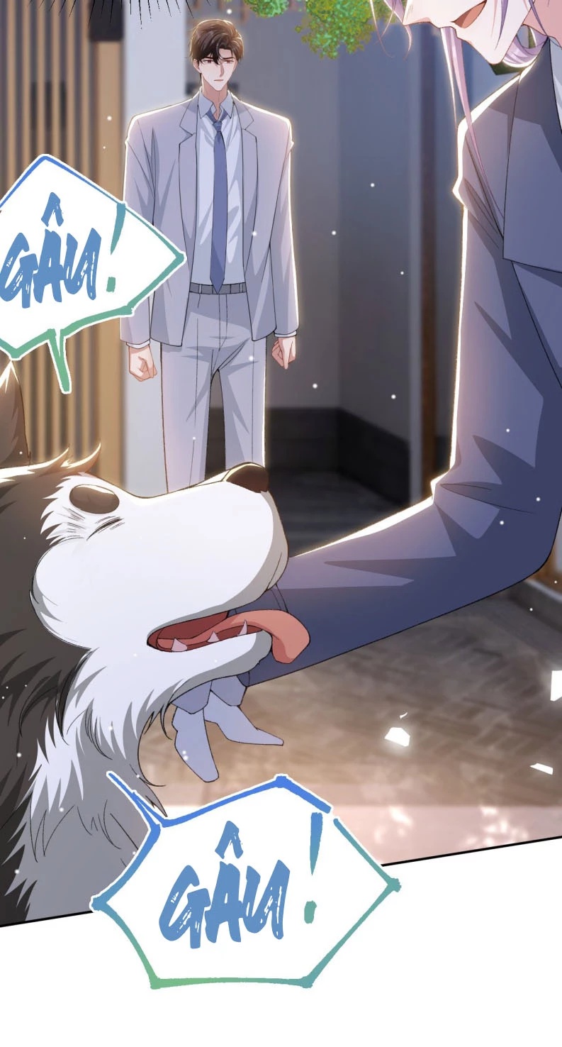 Quan Hệ Thế Thân Chapter 146 - 17