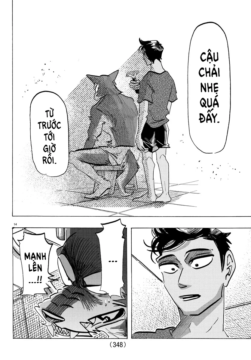 Lý Trí Của Taika Chapter 30 - 14