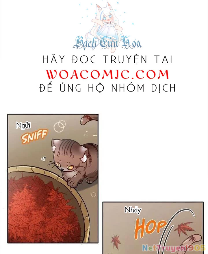 Tôi Chỉ Là Một Tiểu Thư Bình Thường Chapter 82 - 27