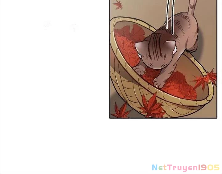 Tôi Chỉ Là Một Tiểu Thư Bình Thường Chapter 82 - 28