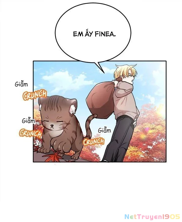 Tôi Chỉ Là Một Tiểu Thư Bình Thường Chapter 82 - 29