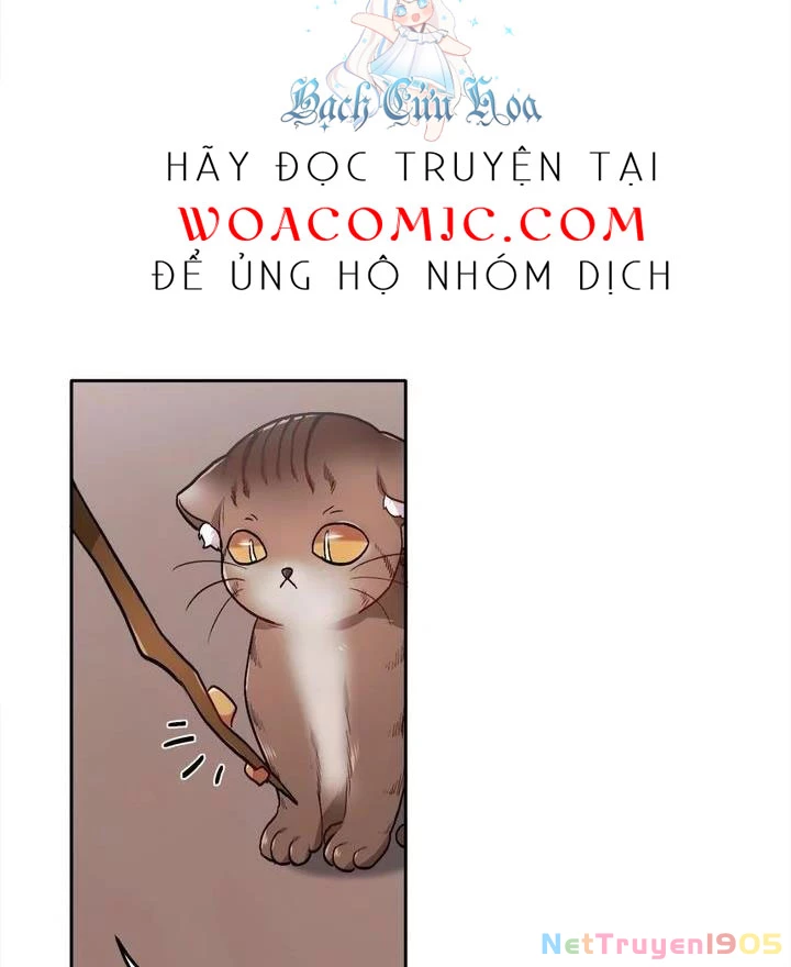 Tôi Chỉ Là Một Tiểu Thư Bình Thường Chapter 82 - 75