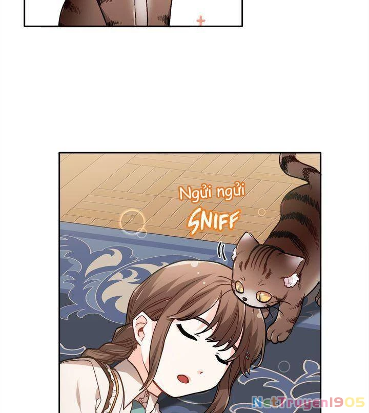 Tôi Chỉ Là Một Tiểu Thư Bình Thường Chapter 83 - 77