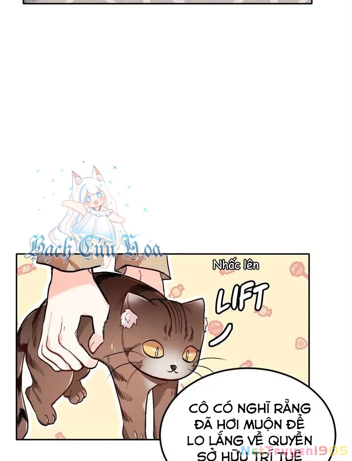 Tôi Chỉ Là Một Tiểu Thư Bình Thường Chapter 84 - 56