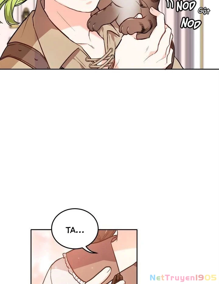 Tôi Chỉ Là Một Tiểu Thư Bình Thường Chapter 84 - 61