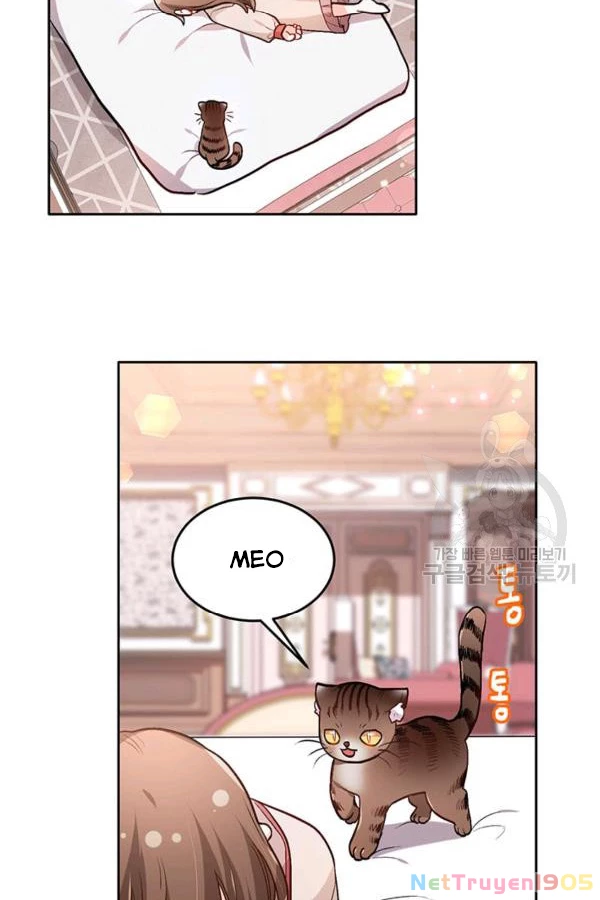 Tôi Chỉ Là Một Tiểu Thư Bình Thường Chapter 89 - 75