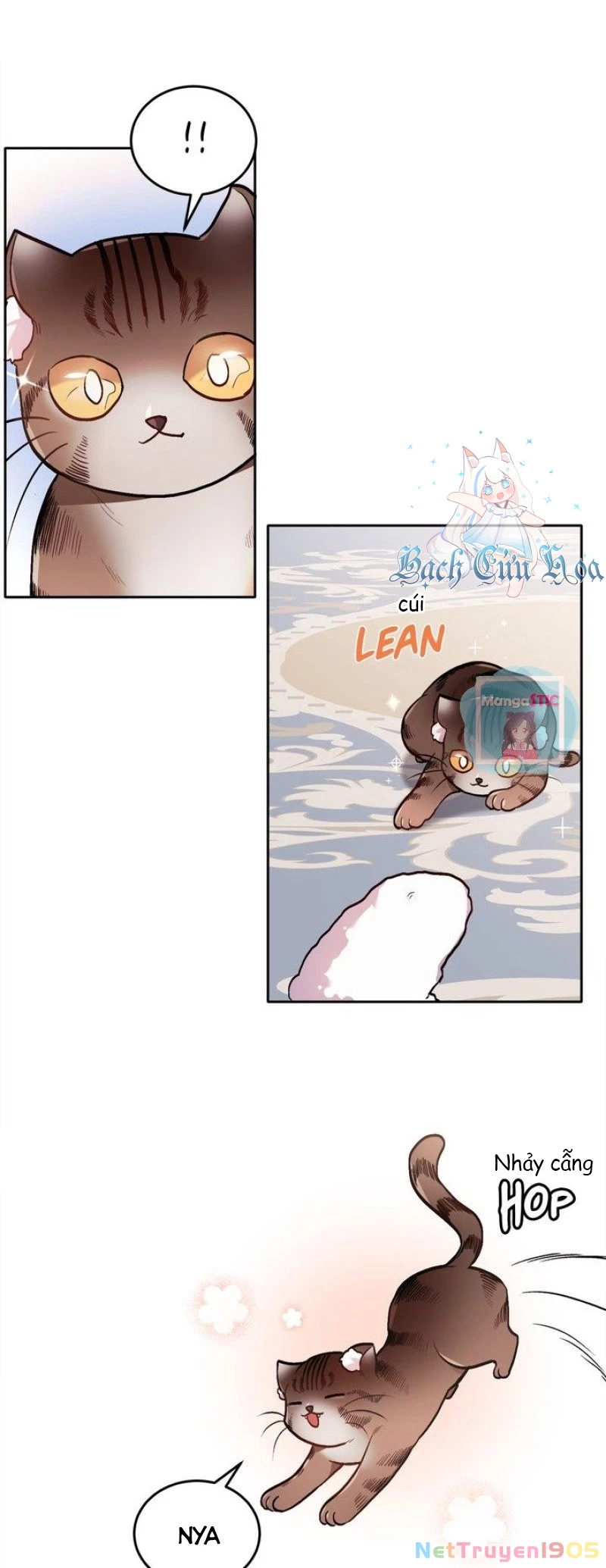 Tôi Chỉ Là Một Tiểu Thư Bình Thường Chapter 91 - 62