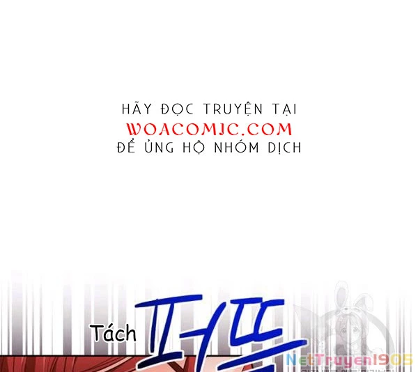 Tôi Chỉ Là Một Tiểu Thư Bình Thường Chapter 103 - 117