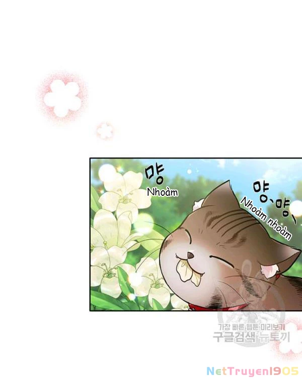 Tôi Chỉ Là Một Tiểu Thư Bình Thường Chapter 105 - 106
