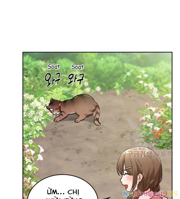 Tôi Chỉ Là Một Tiểu Thư Bình Thường Chapter 105 - 107