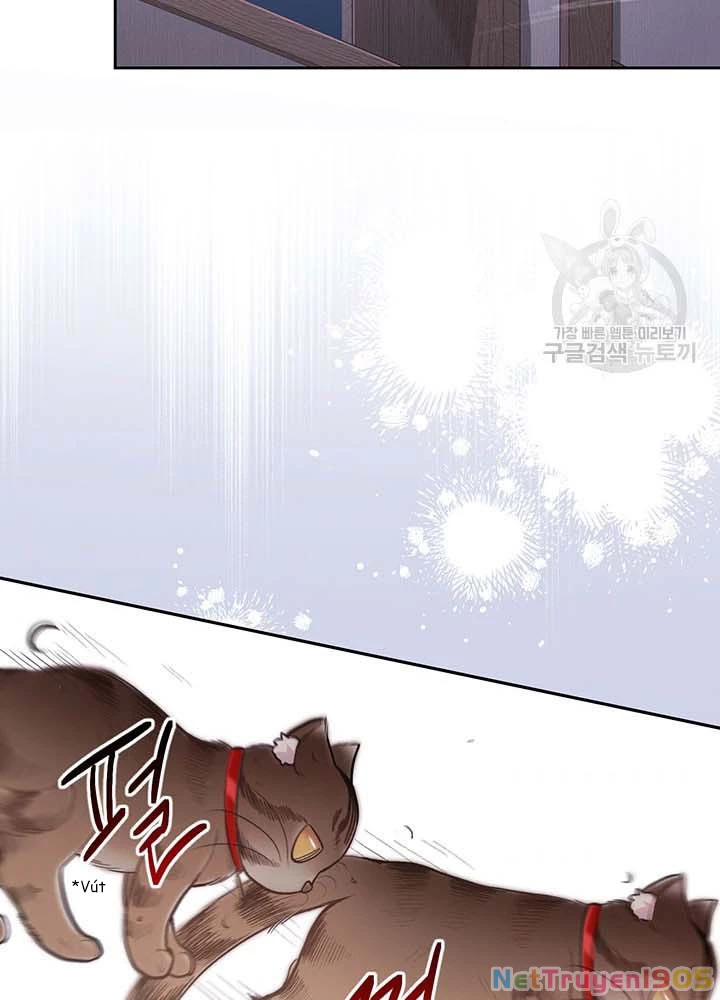 Tôi Chỉ Là Một Tiểu Thư Bình Thường Chapter 118 - 91