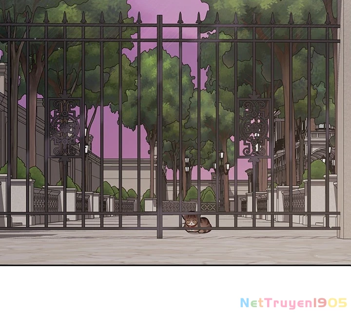 Tôi Chỉ Là Một Tiểu Thư Bình Thường Chapter 119 - 18