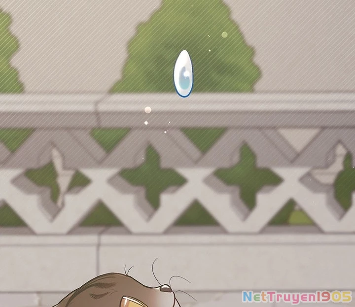 Tôi Chỉ Là Một Tiểu Thư Bình Thường Chapter 119 - 54