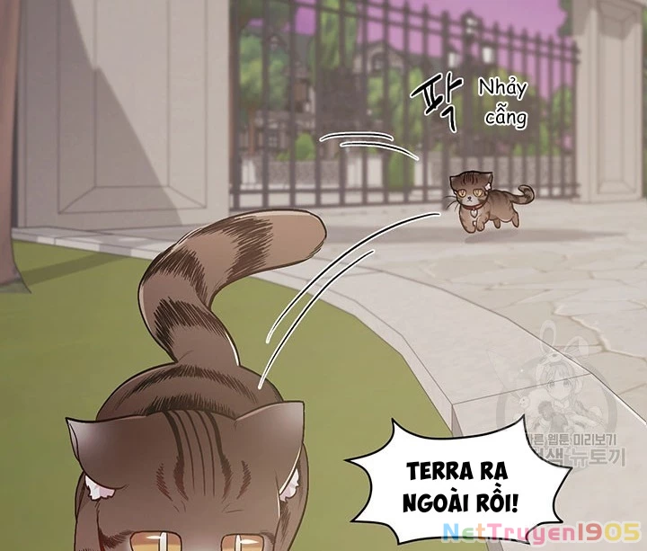 Tôi Chỉ Là Một Tiểu Thư Bình Thường Chapter 119 - 64