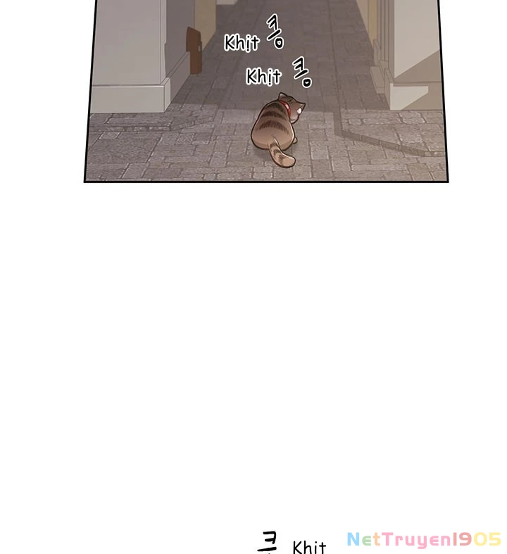 Tôi Chỉ Là Một Tiểu Thư Bình Thường Chapter 119 - 68