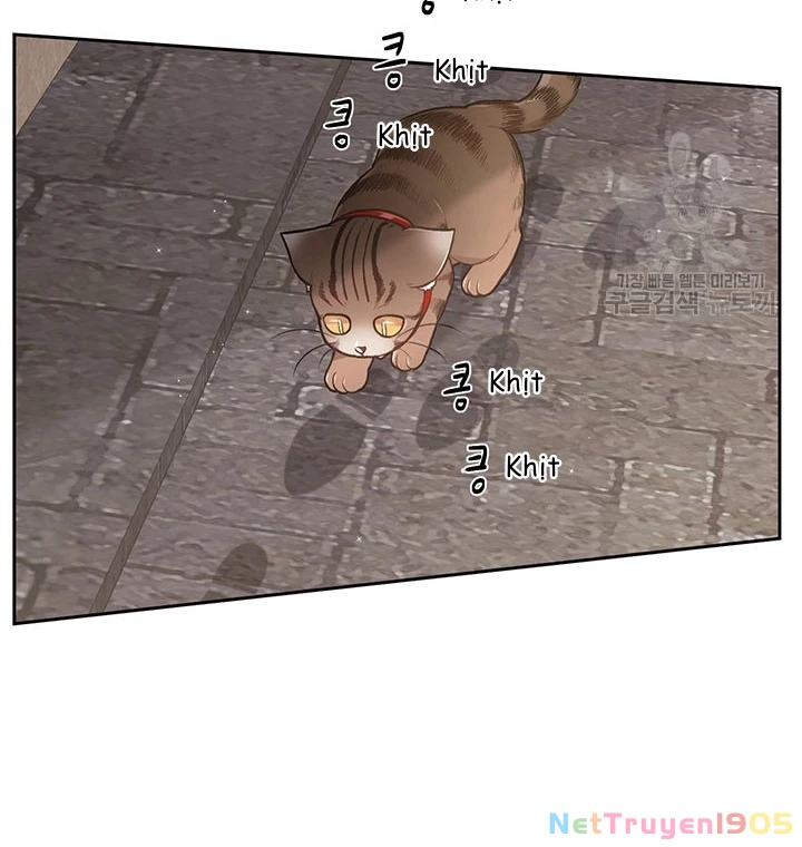 Tôi Chỉ Là Một Tiểu Thư Bình Thường Chapter 119 - 69