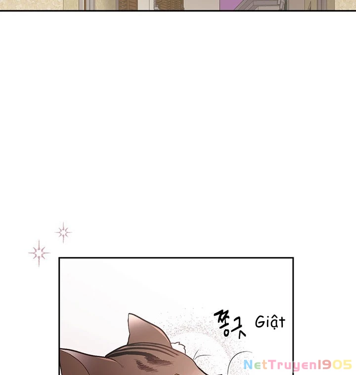 Tôi Chỉ Là Một Tiểu Thư Bình Thường Chapter 119 - 71