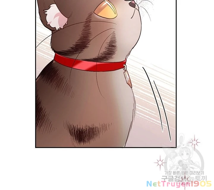 Tôi Chỉ Là Một Tiểu Thư Bình Thường Chapter 119 - 72