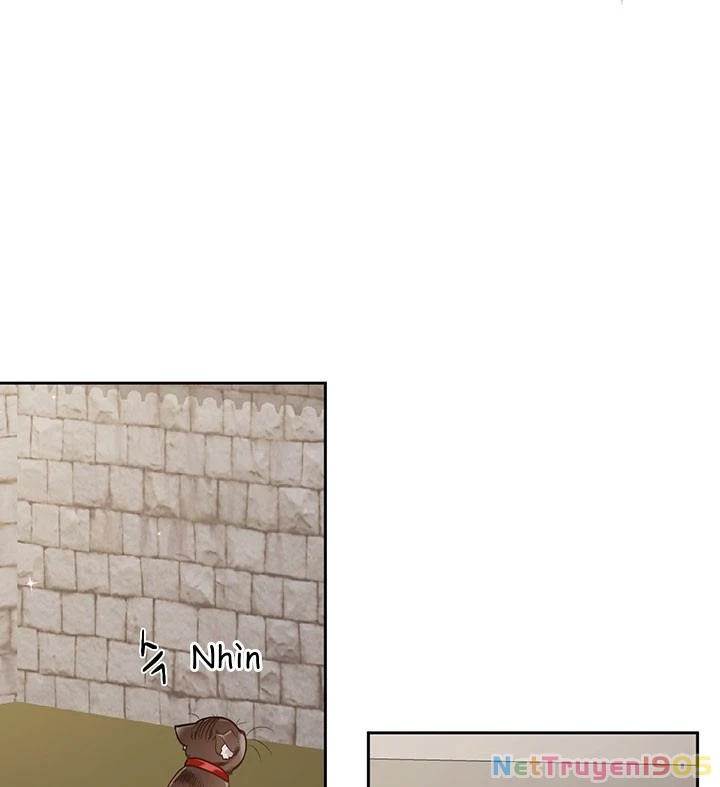 Tôi Chỉ Là Một Tiểu Thư Bình Thường Chapter 119 - 73