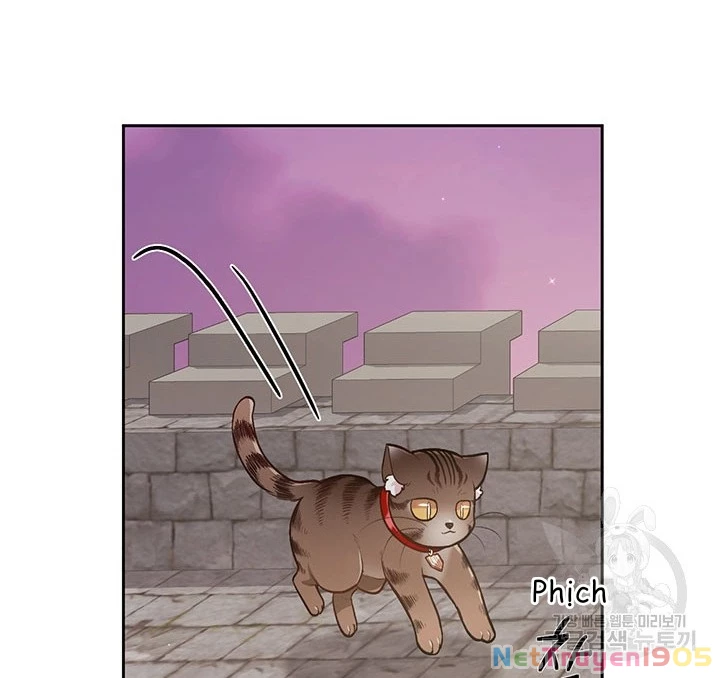 Tôi Chỉ Là Một Tiểu Thư Bình Thường Chapter 119 - 74