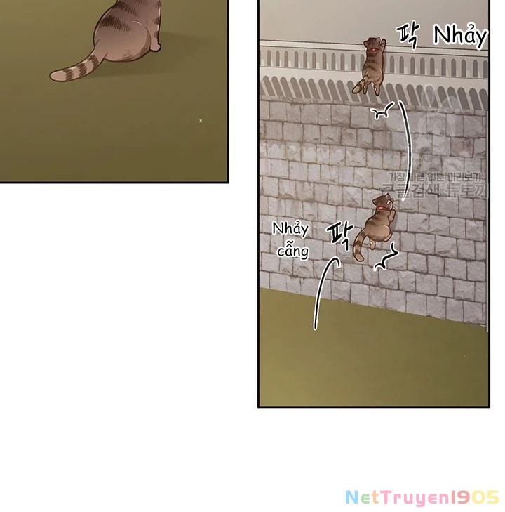 Tôi Chỉ Là Một Tiểu Thư Bình Thường Chapter 119 - 77