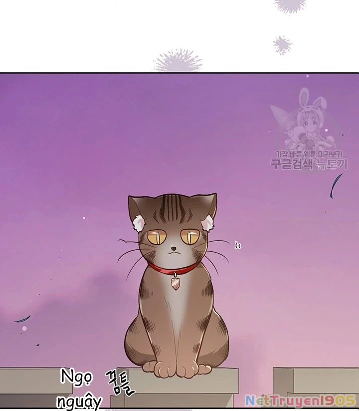 Tôi Chỉ Là Một Tiểu Thư Bình Thường Chapter 119 - 80