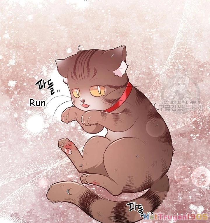 Tôi Chỉ Là Một Tiểu Thư Bình Thường Chapter 119 - 86