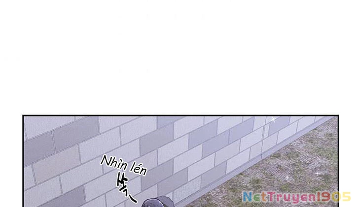 Tôi Chỉ Là Một Tiểu Thư Bình Thường Chapter 122 - 145