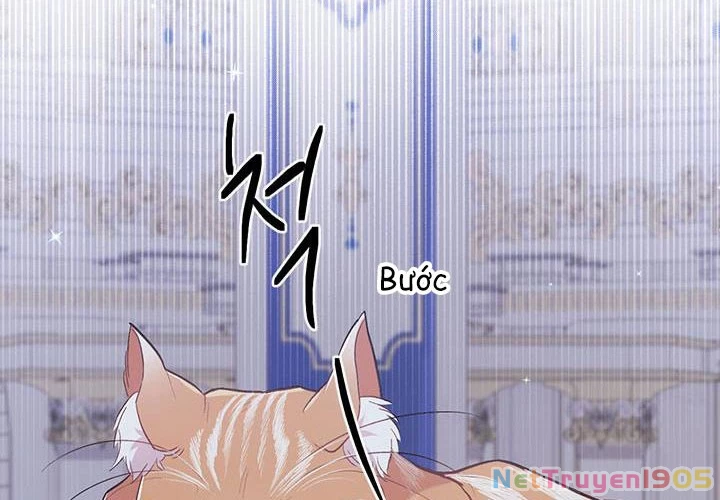 Tôi Chỉ Là Một Tiểu Thư Bình Thường Chapter 125 - 34