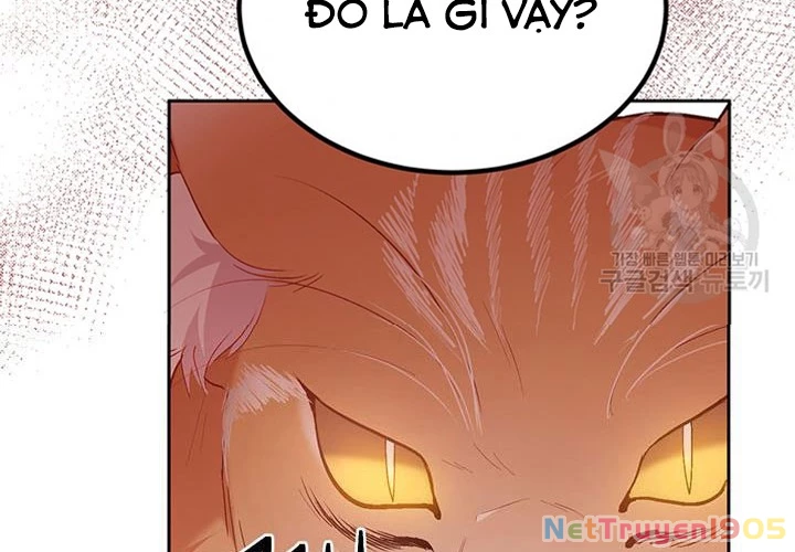 Tôi Chỉ Là Một Tiểu Thư Bình Thường Chapter 125 - 97