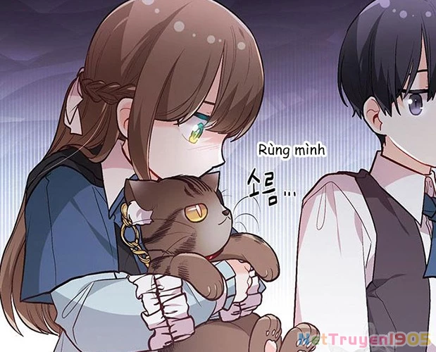 Tôi Chỉ Là Một Tiểu Thư Bình Thường Chapter 125 - 134