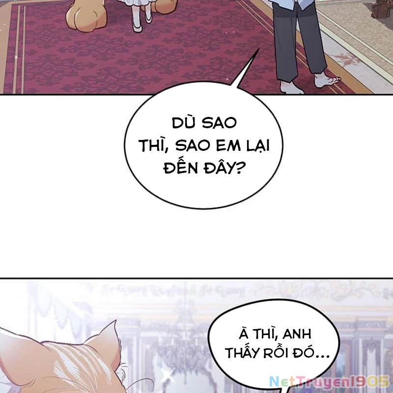 Tôi Chỉ Là Một Tiểu Thư Bình Thường Chapter 138 - 118
