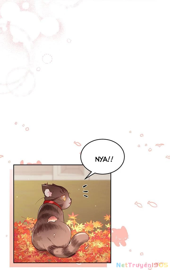 Tôi Chỉ Là Một Tiểu Thư Bình Thường Chapter 140 - 11