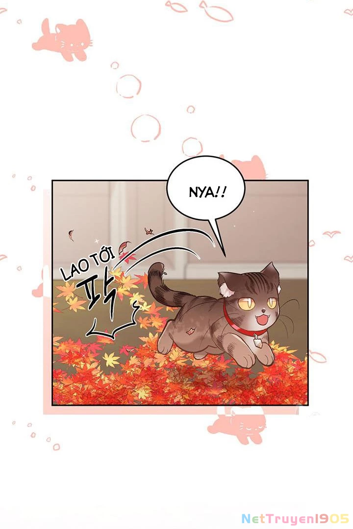 Tôi Chỉ Là Một Tiểu Thư Bình Thường Chapter 140 - 12