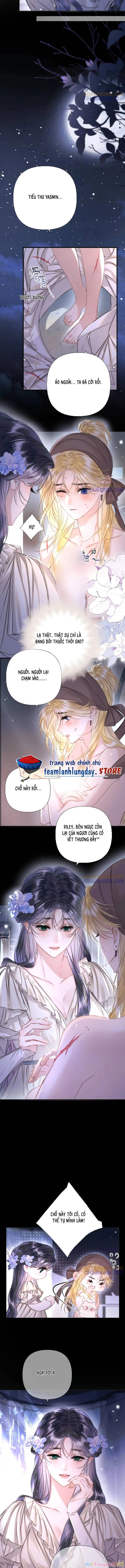 Hãy Trao Cho Ta Nụ Hôn Của Nàng Chapter 2 - 5