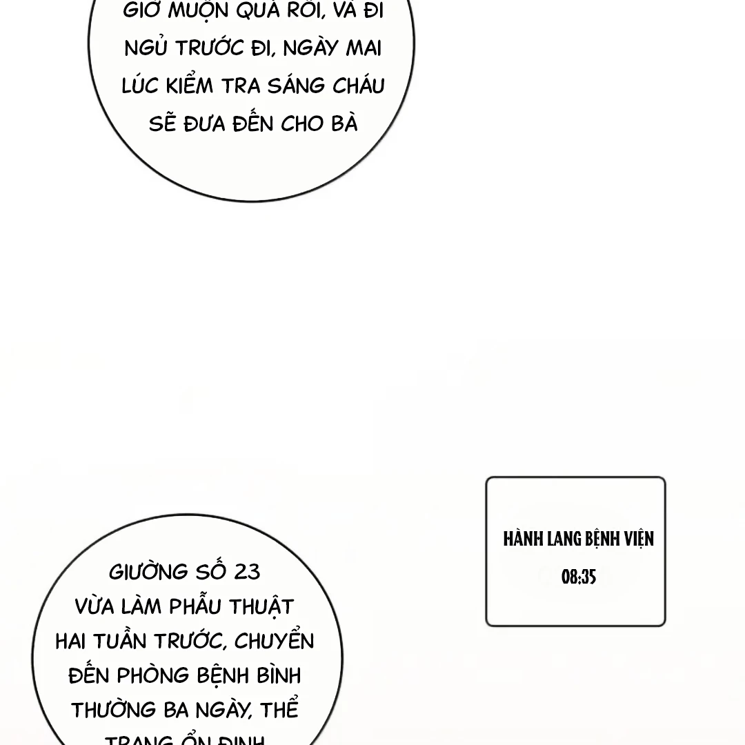 Gió Lớn Hôn Ánh Trăng Chapter 65 - 52