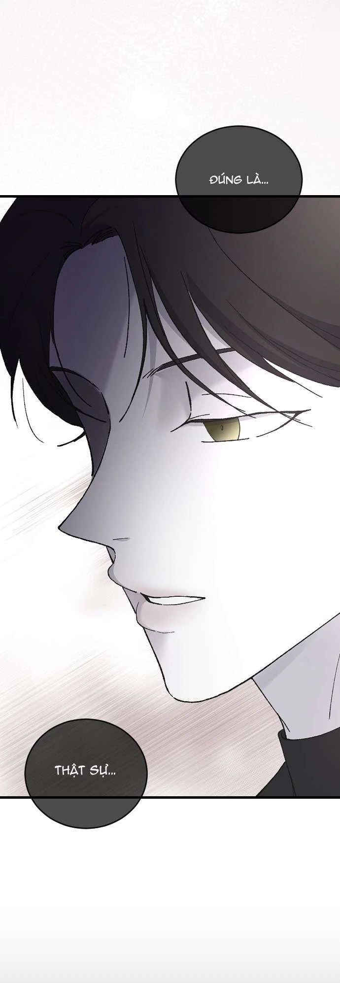 Ba Người Anh Trai Cực Phẩm Của Tôi Chapter 78 - 8
