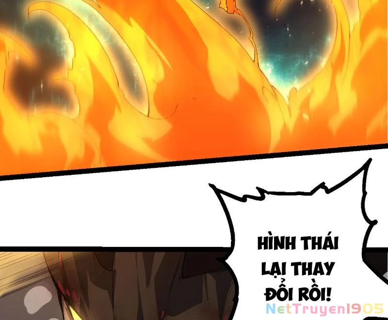 Chuyển Sinh Thành Liễu Đột Biến Chapter 419 - 4