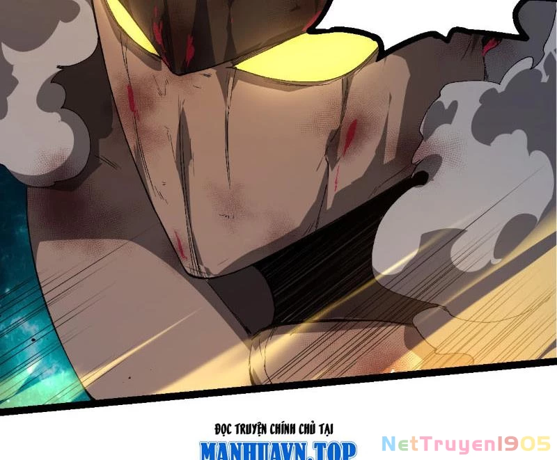 Chuyển Sinh Thành Liễu Đột Biến Chapter 419 - 5