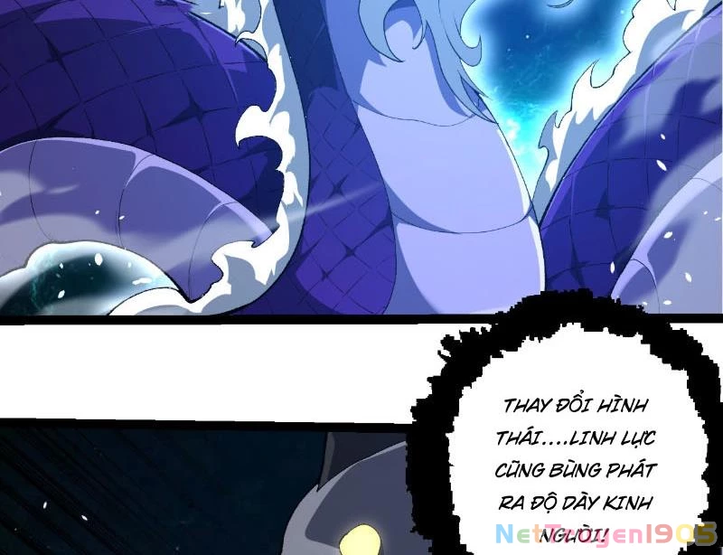Chuyển Sinh Thành Liễu Đột Biến Chapter 419 - 70