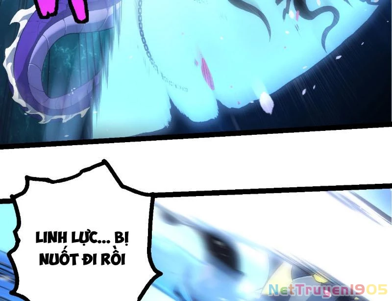 Chuyển Sinh Thành Liễu Đột Biến Chapter 419 - 75